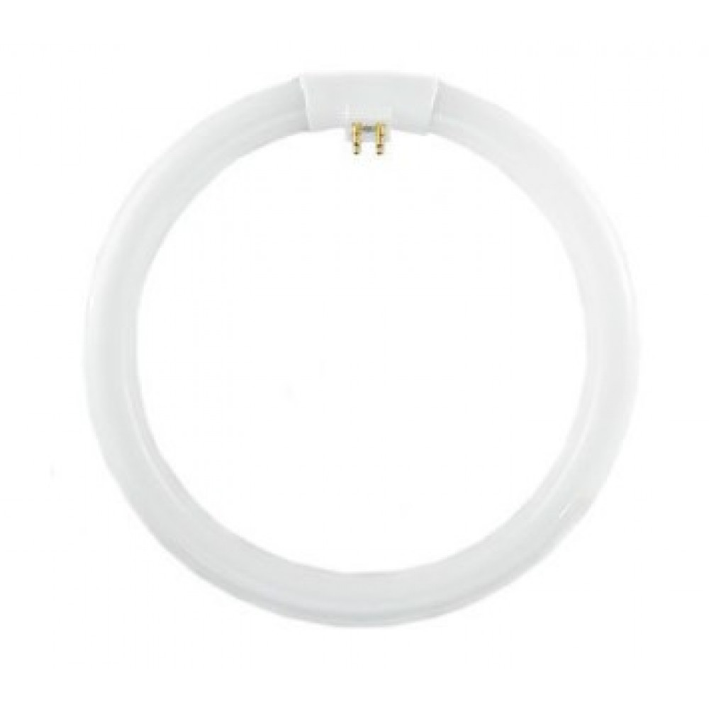 Tubo Fluorescente Circular 22w  Luz Fria