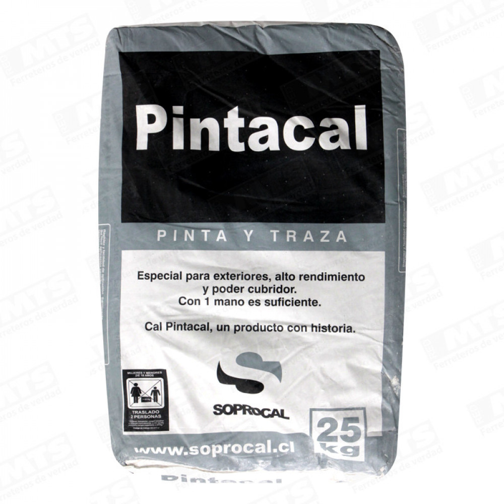 CAL PARA PINTAR                     25KG