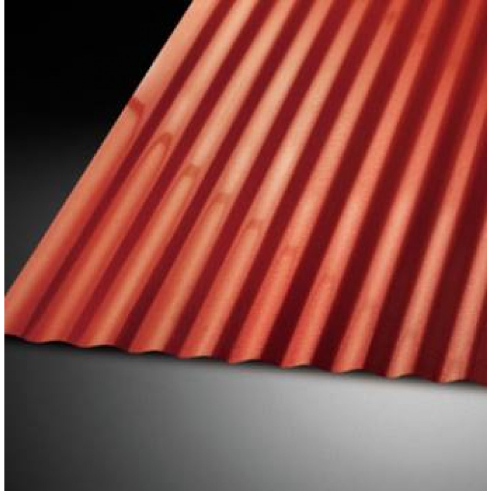 420406068_202601220908290