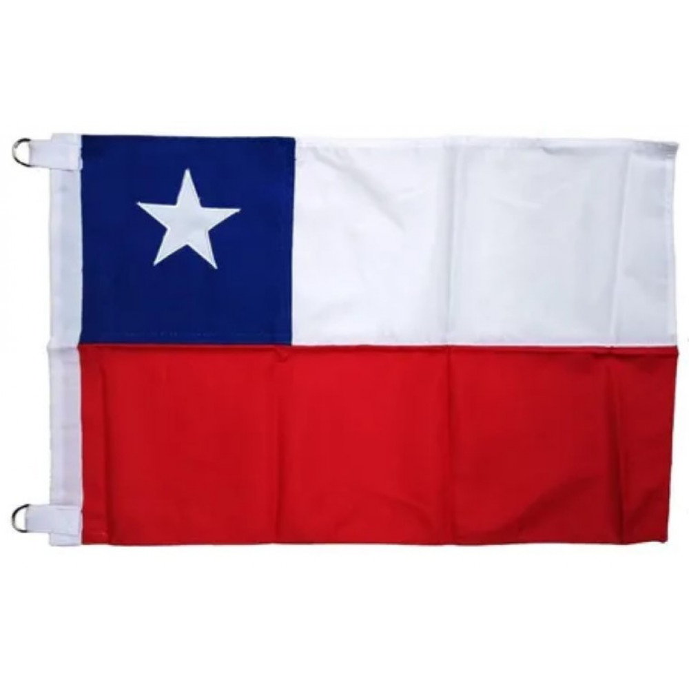 Bandera Chilena Tela               45x60