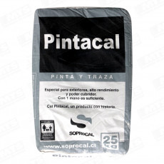 CAL PARA PINTAR                     25KG