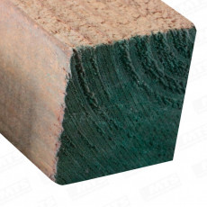Pino Bruto                          3x3"