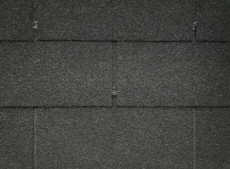 500217362_202502051009290