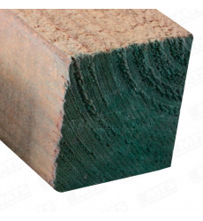 Pino Bruto 4x4"