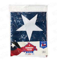 Bandera Chilena Tela             60x90cm