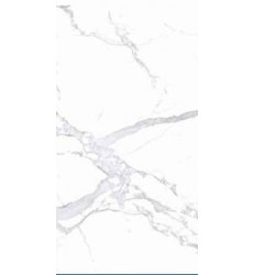 264004792_202512261010410