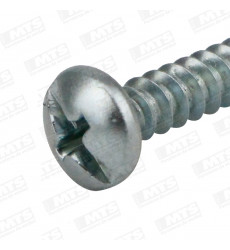 TORNILLO ROSCALATA CAB PAN   10 x 1    
