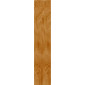 500420542_202404041646520
